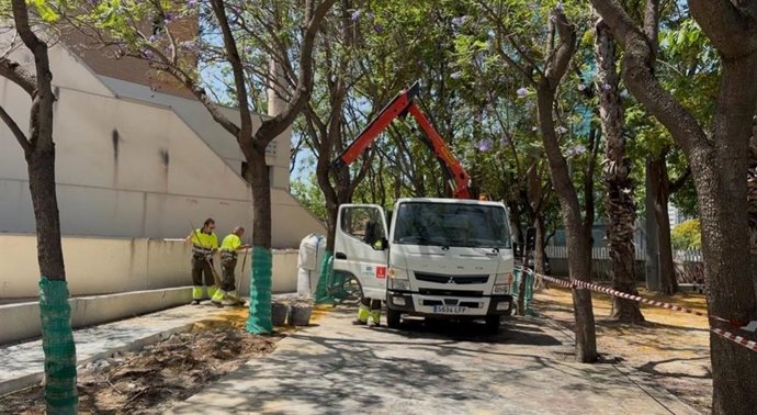 Trabajos de renovación del pavimento del entorno del Palacio de los Deportes de Murcia