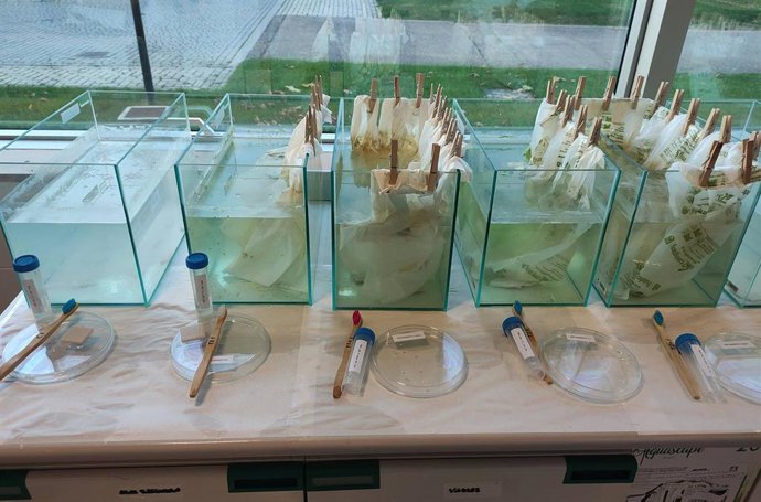 Cultivos experimentales instalados en los centros educativos que han participado en el proyecto.
