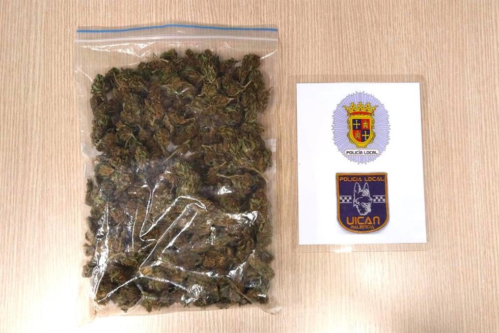 Interceptado en la estación de autobuses de Palencia con 100 gramos de marihuana en su maleta.