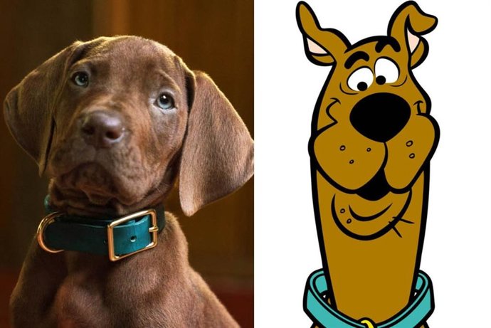 Primer adelanto de Scooby-Doo: Origins, con un cachorro de real de gran danés