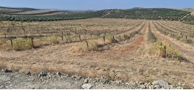 Andalucía