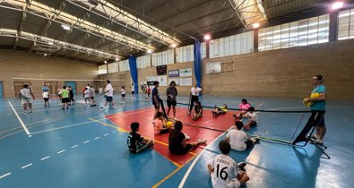Diputación de Sevilla
