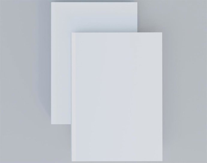 Recurso de folio en blanco