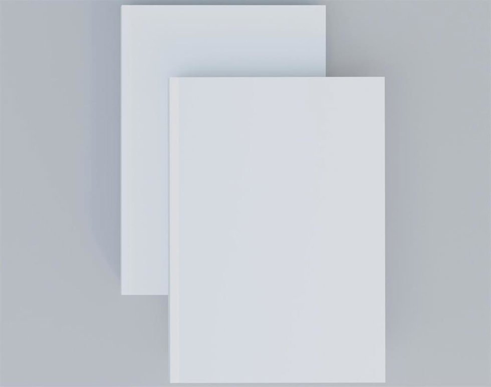 Recurso de folio en blanco