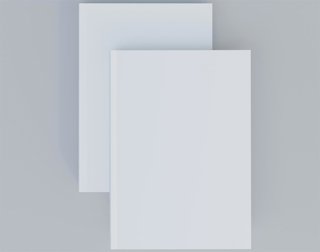 Recurso de folio en blanco