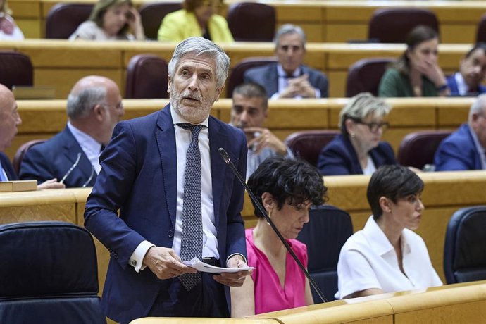 Fernando Grande-Marlaska, Ministro del Interior, durante una sesión de control al Gobierno, en el Senado