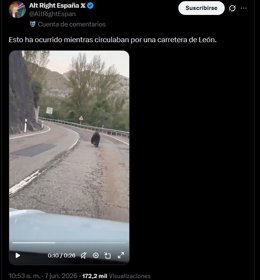 Vídeo en el que aparece un oso en una carretera de la provincia de León criticado por la Junta de Castilla y León.