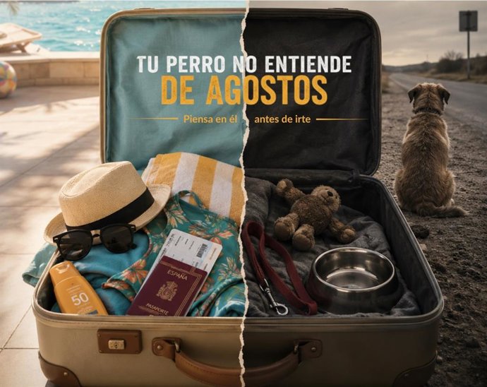 La RSCE lanza la campaña 'Tu perro no entiende de agostos' para prevenir el abandono de perros en verano.