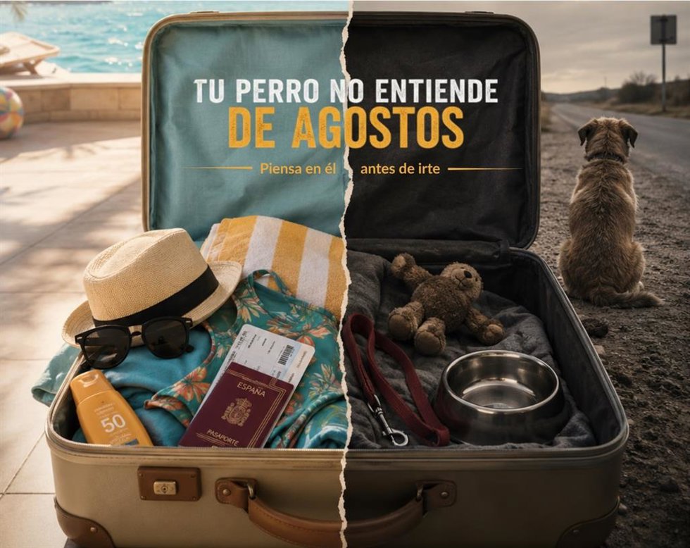 La RSCE lanza la campaña 'Tu perro no entiende de agostos' para prevenir el abandono de perros en verano.