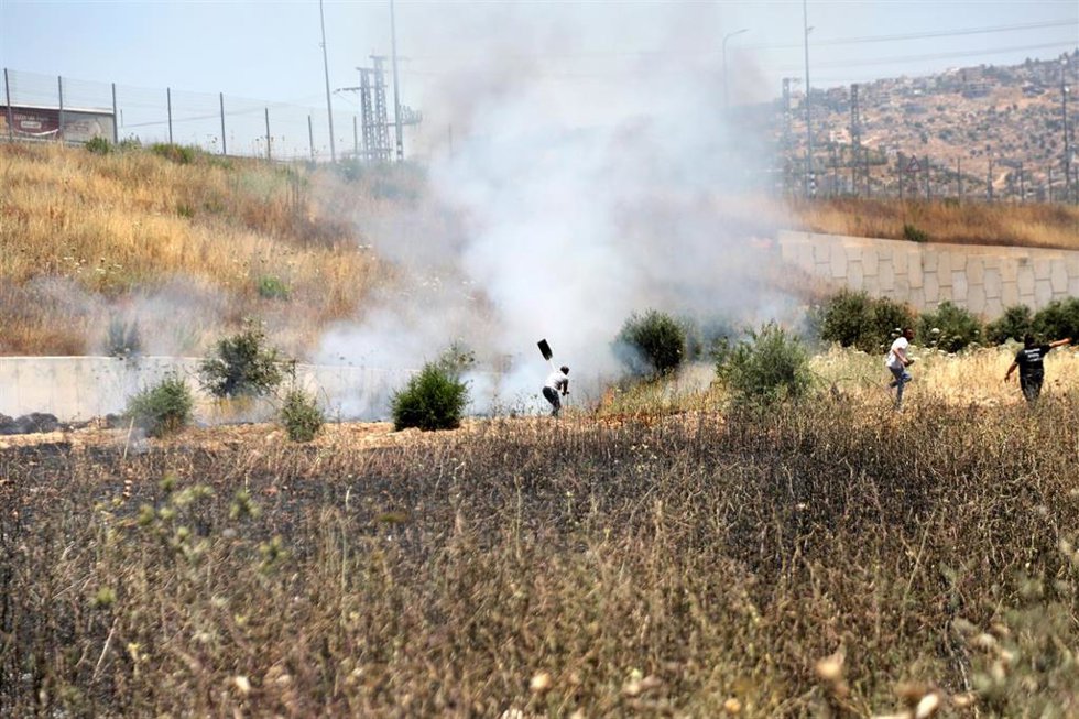 Palestinos tratan de sofocar un incendio en una superficie agrícola cerca de Nablús, en Cisjordania