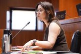 Foto: El Gobierno de Aragón cree que el proyecto de Enel para el Nudo Mudéjar es "claramente insuficiente" para Andorra