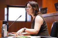 El Gobierno de Aragón cree que el proyecto de Enel para el Nudo Mudéjar es "claramente insuficiente" para Andorra