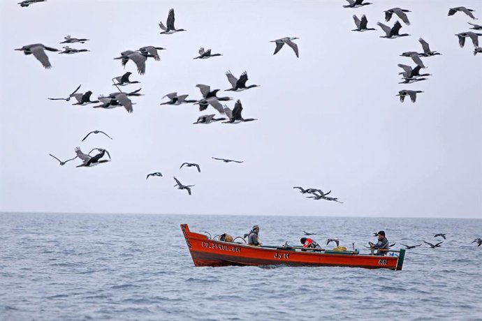 Perú.- Gobierno busca modernizar y fortalecer atención a pescadores artesanales de todo el país