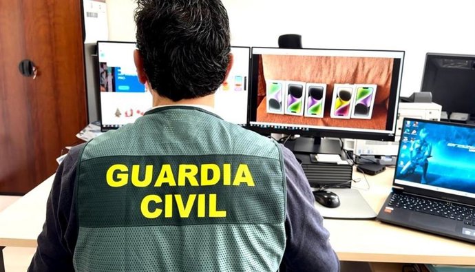 Un investigador de la Guardia Civil.
