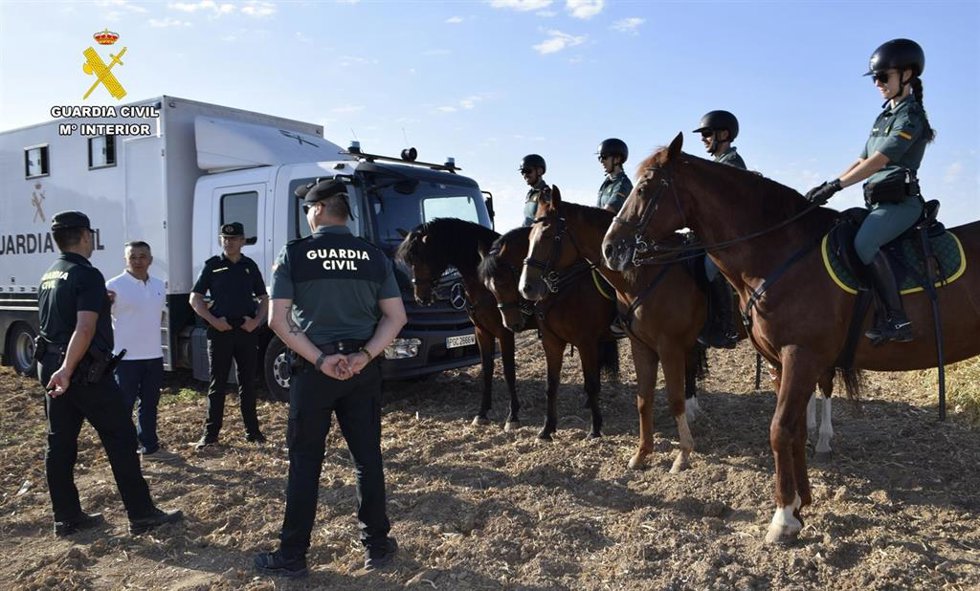 La Guardia Civil de Albacete refuerza el operativo de la campaña de recogida del ajo con el Grupo de Caballería