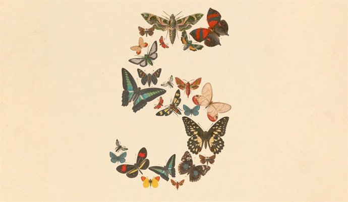 Imagen de Claude Fable 5