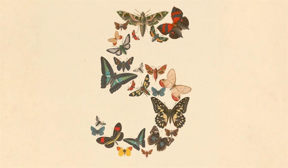 Imagen de Claude Fable 5