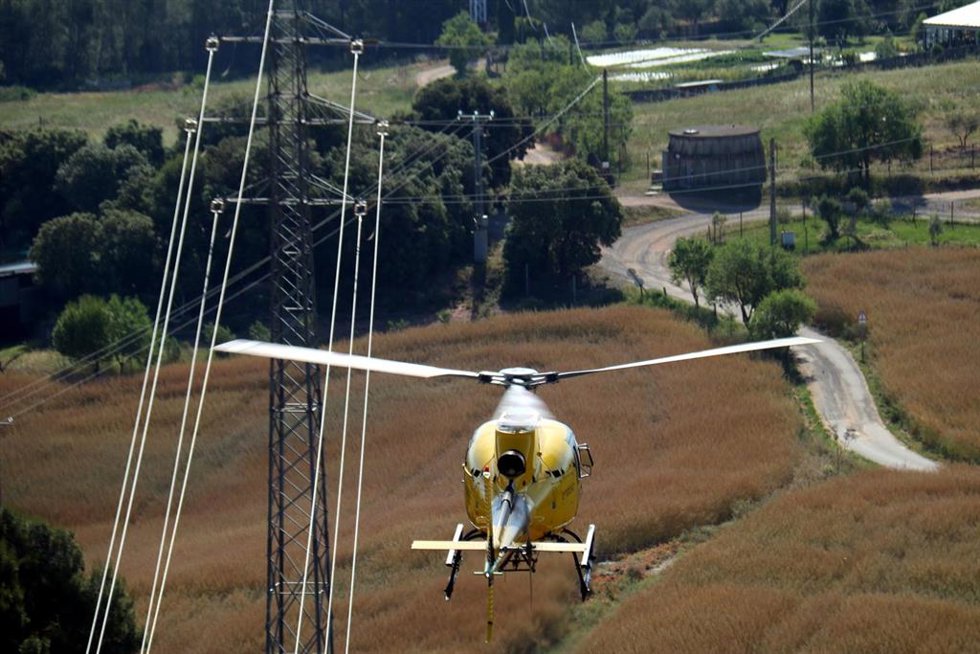 Labores de protección forestal y mantenimiento de la red eléctrica
