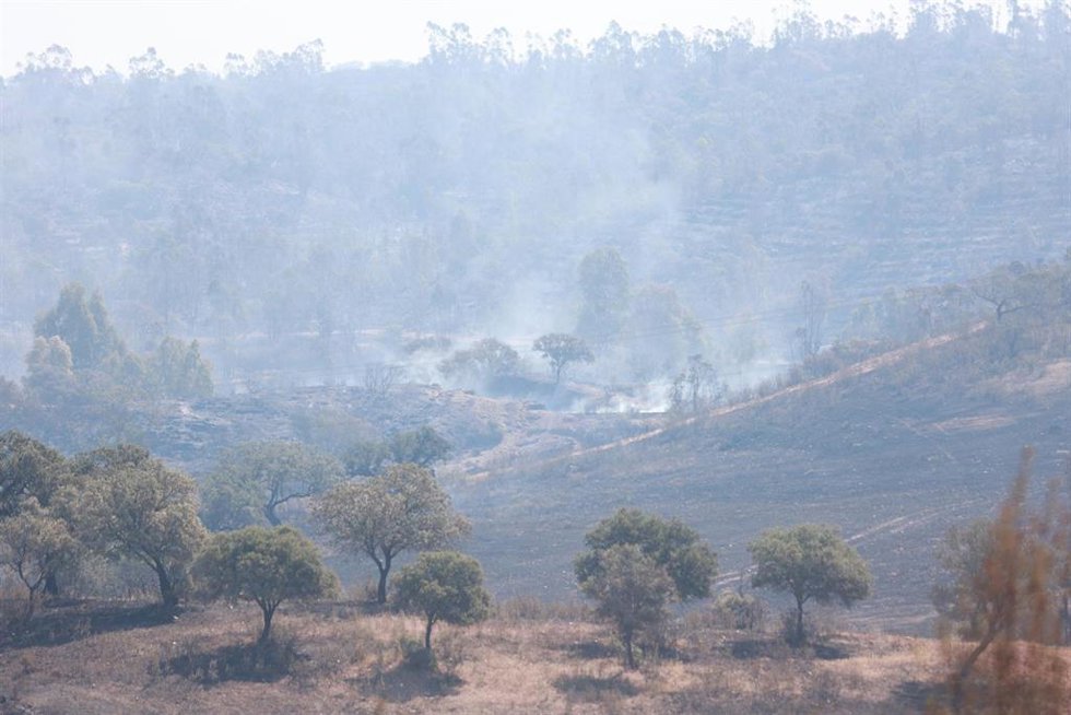 Zona afectada por el incendio forestal declarado el pasado lunes en el municipio onubense de Villanueva de los Castillejos. 