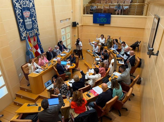 Momento de una de las votaciones del pleno extraordinario .
