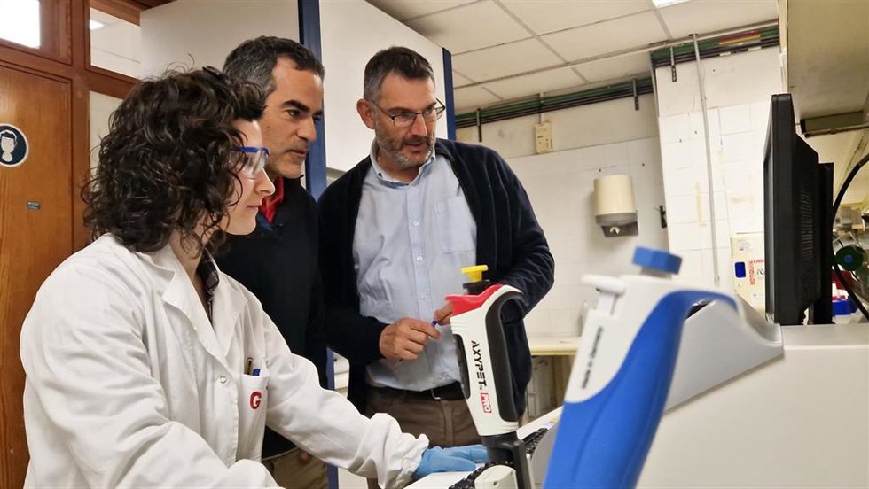Archivo - La UC avanza en el estudio del impacto de la contaminación sobre la salud respiratoria de poblaciones vulnerables