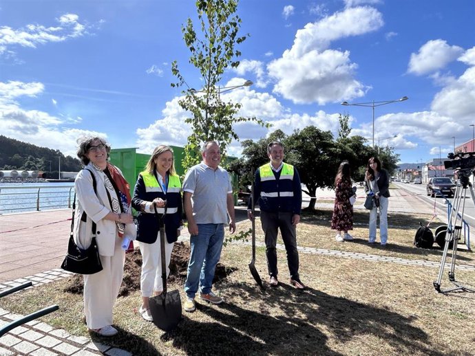 Acto Final De Plantación De Arbolado En El Paseo Manuel Ponga Santamarta De La Ría De Avilés.