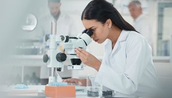 Laboratorio