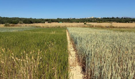Islas Baleares