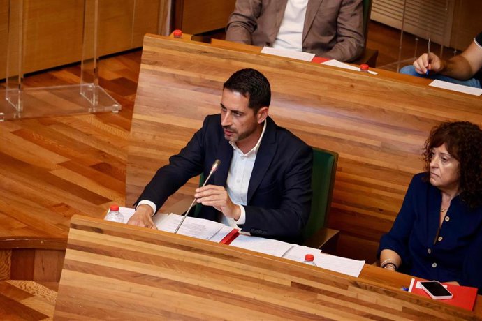 El portavoz del PSPV en la Diputación de Valencia, Carlos Fernández Bielsa