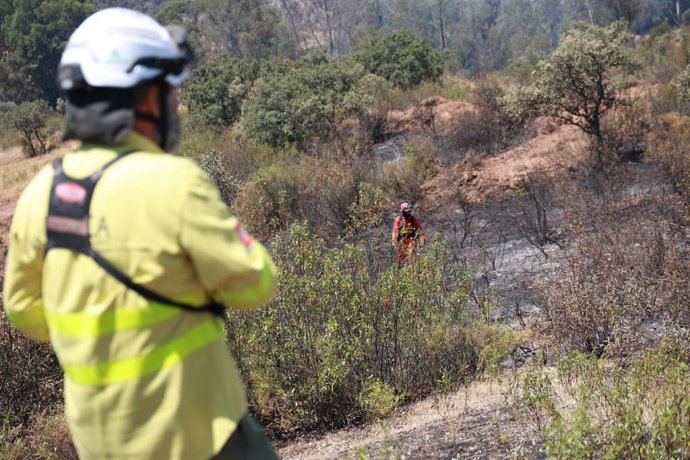 Equipes do dispositivo de combate ao incêndio florestal declarado na última segunda-feira no município de Villanueva de los Castillejos, na província de Huelva. Em 10 de junho de 2026, em San Bartolomé de la Torre, Huelva (Andaluzia, Espanha). Mais de 400