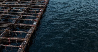 Pesca Galicia