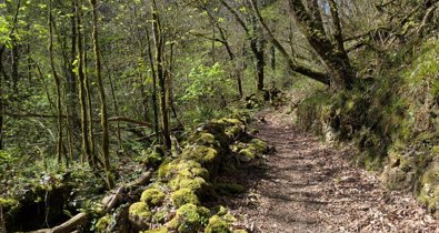 Asturias