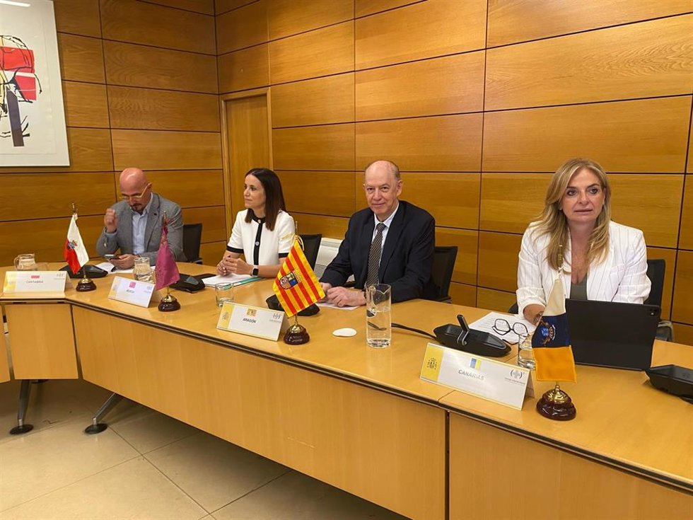El consejero de Sanidad, Ángel Sanz, en la reunión del Consejo Interterritorial del SNS.