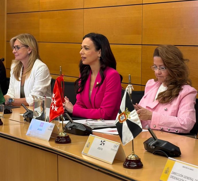 La consejera de Salud y Atención a la Dependencia, Sara García Espada, en la reunión del CISNS