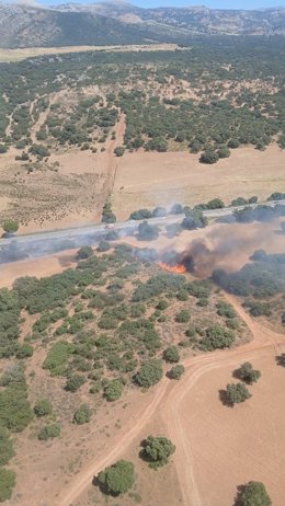 Incendio declarado en Ronda (Málaga)
