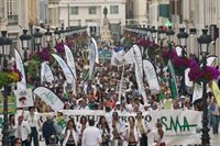El Comité de Huelga médico acusa a Sanidad de renunciar al diálogo y "confundir" a la opinión pública sobre el Estatuto