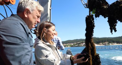 Pesca Galicia
