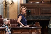 CC considera "histórico" que León XIV acuda a Canarias a conocer su realidad migratoria "que no va a acabar"