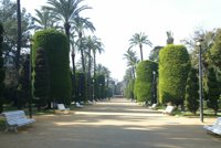 El Ayuntamiento de Cádiz cierra el Parque Genovés este jueves y viernes por la alerta amarilla por viento de levante