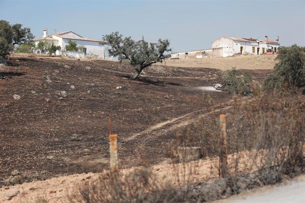 Zona afectada por el incendio forestal declarado el pasado lunes en el municipio onubense de Villanueva de los Castillejos.