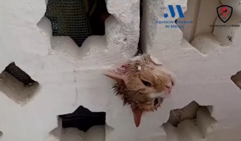 Málaga