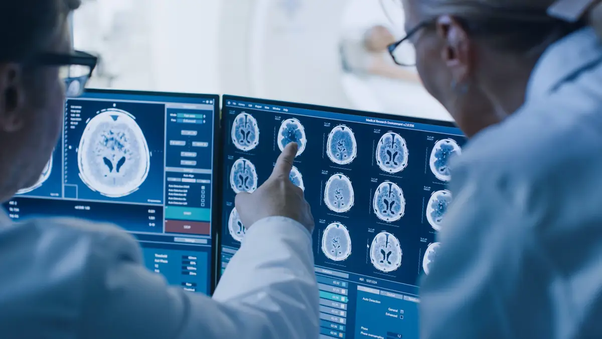 Exploración del cerebro