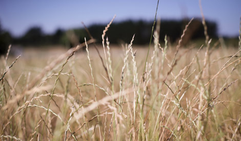 EpAgro - Agricultura