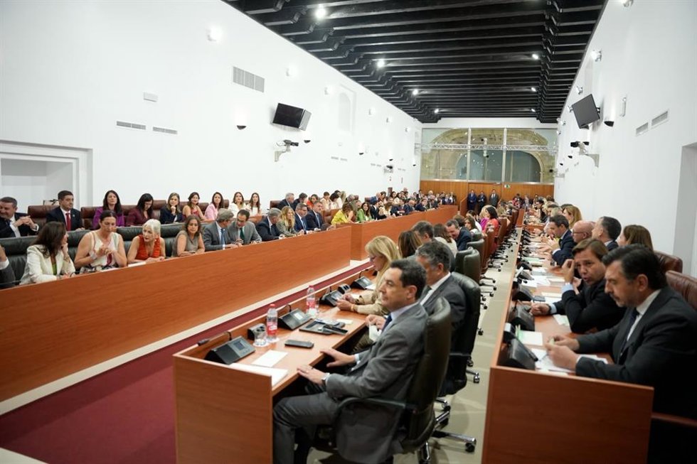 Diputados del Parlamento andaluz en la sesión constitutiva de la XIII legislatura.