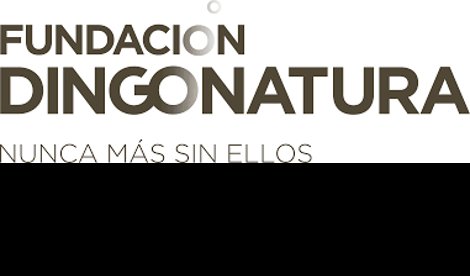 Comunicados Sociedad