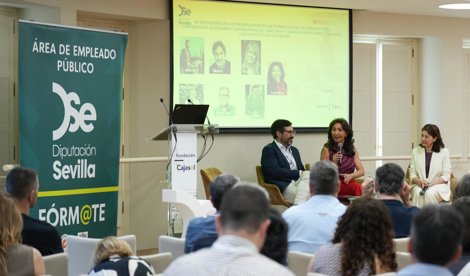 Diputación de Sevilla