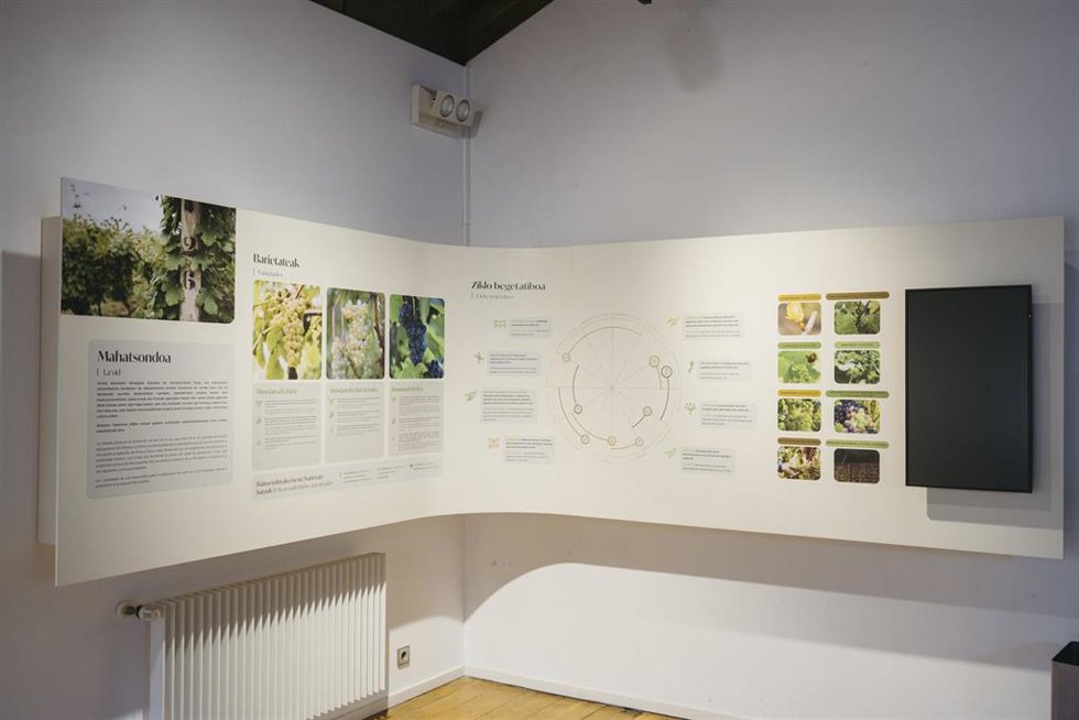 Archivo - Espacio expositivo de Bizkaiko Txakolina en Mendilibe Jauregia