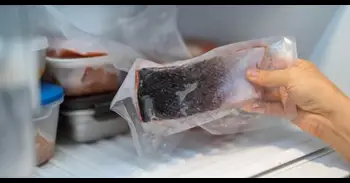 Los envases transfieren aditivos plásticos al pescado guardado en la nevera o el congelador