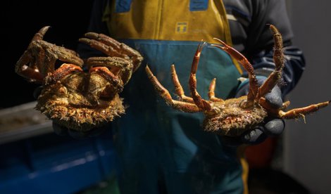 Pesca Galicia