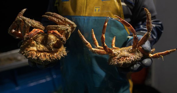 Pesca Galicia